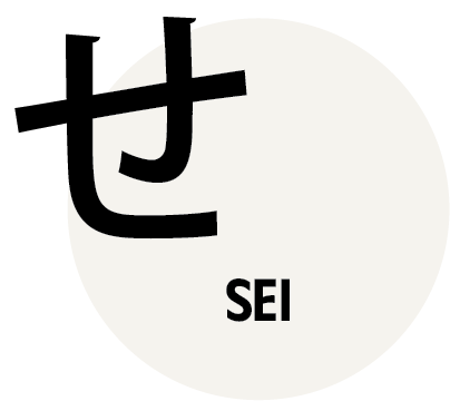 Asset 16