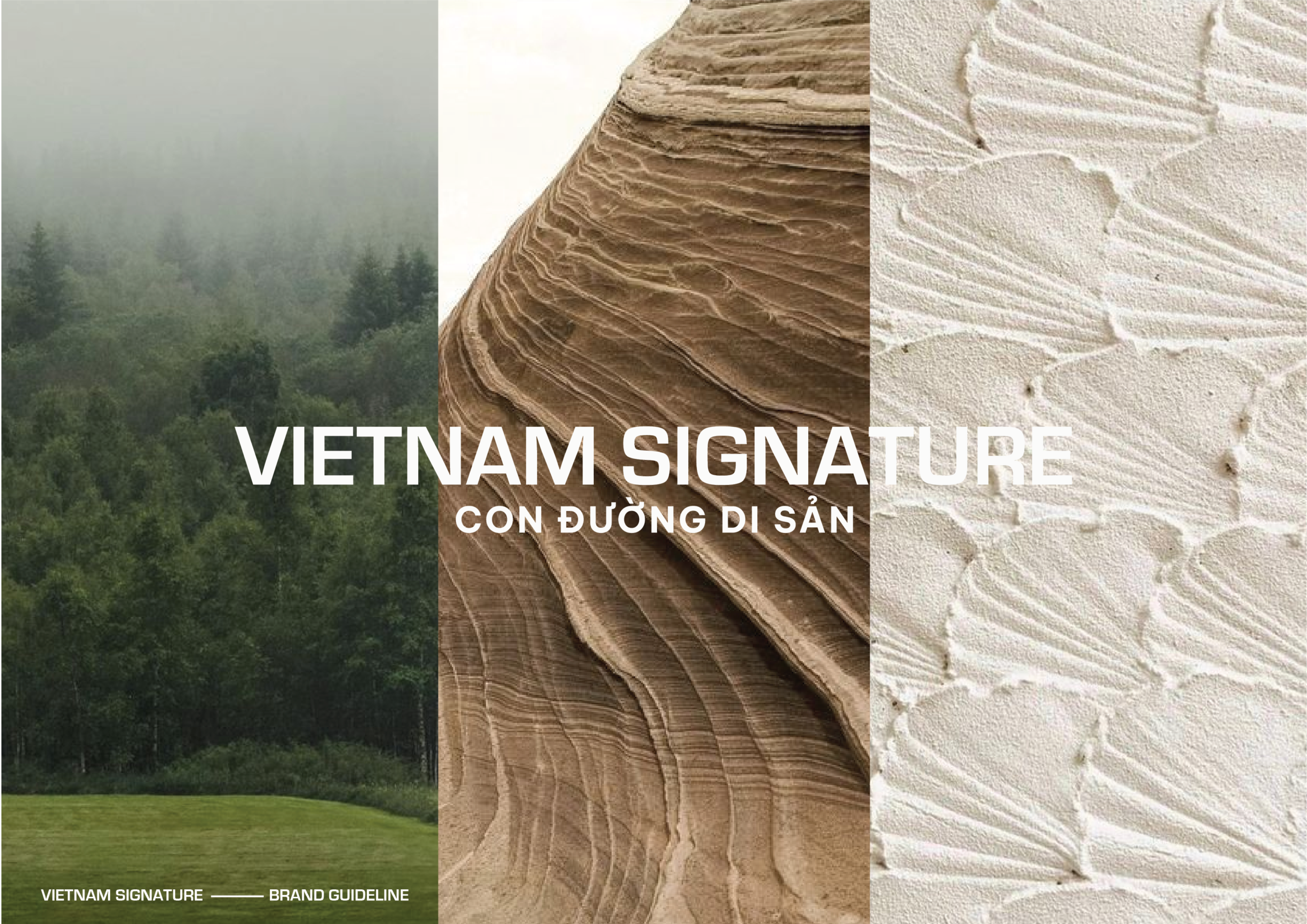 Guideline vietnamsignature 15